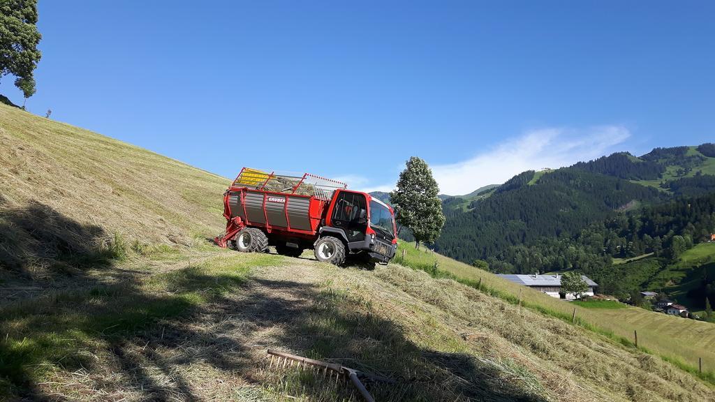 Bio-Bauernhof Hatzbauer 玛丽亚埃姆安斯泰内嫩米尔 外观 照片
